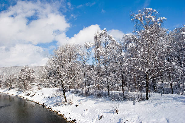 inverno - switzerland forest storm summer imagens e fotografias de stock