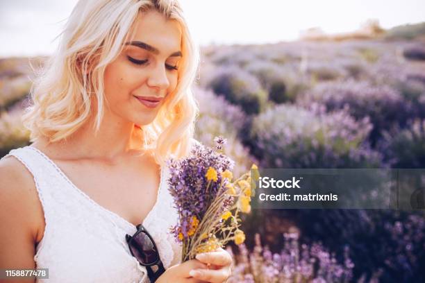 Young Beautiful Happy Female In The Lavender Field Stock Photo - Download Image Now - Adult, Adults Only, Agricultural Field