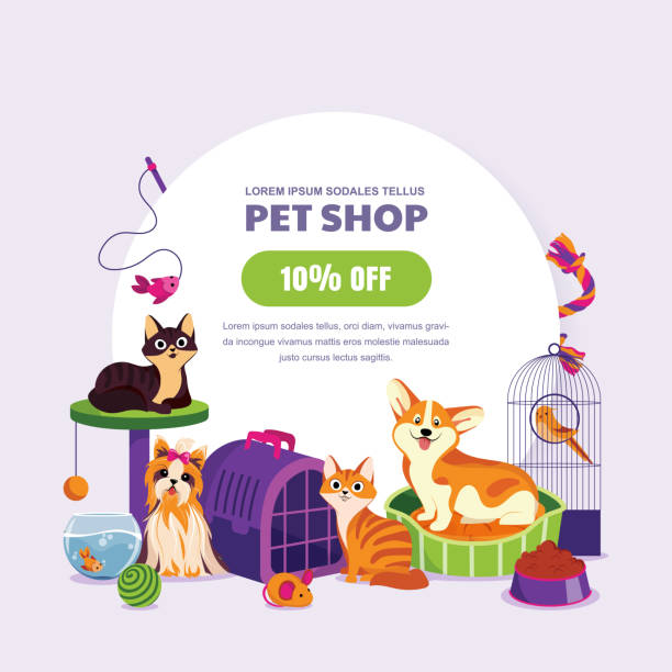 pet shop poster oder banner-design-vorlage. vektor-cartoon-illustration von katzen, hunden, aquarienfischen und kanarienvogel. - tierhandlung stock-grafiken, -clipart, -cartoons und -symbole