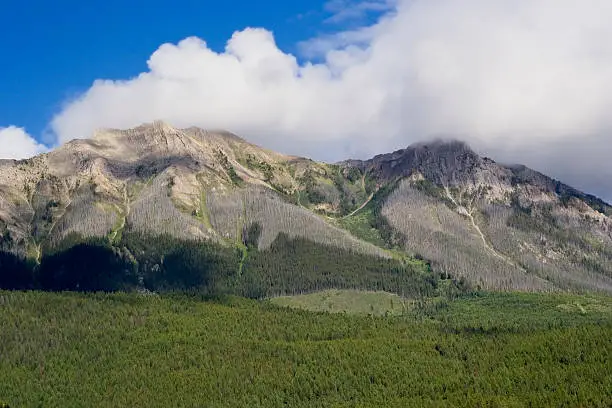 in the Kootenay Range of the Rocky Mountains, British Columbia, Canada - adobe RGB