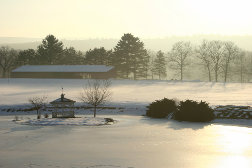 Winter Morning in Pennsylvania on the banks of the Delaware River
