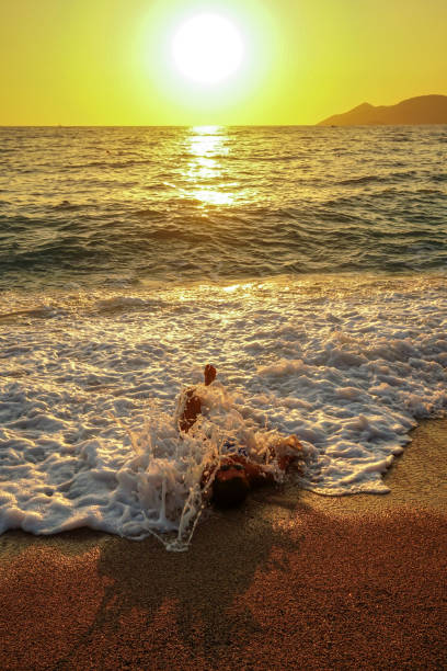Sunset on the beach. Sand on the beach in the sunset light Evening on the beach by the lake river.