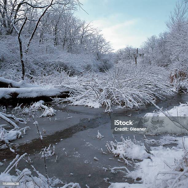 Photo libre de droit de De Beaver Path banque d'images et plus d'images libres de droit de Illinois - Illinois, Blanc, Froid