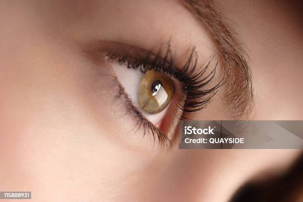 Hazel Eyes Stock Photo - Download Image Now - Hypnosis, Adult, Adults Only