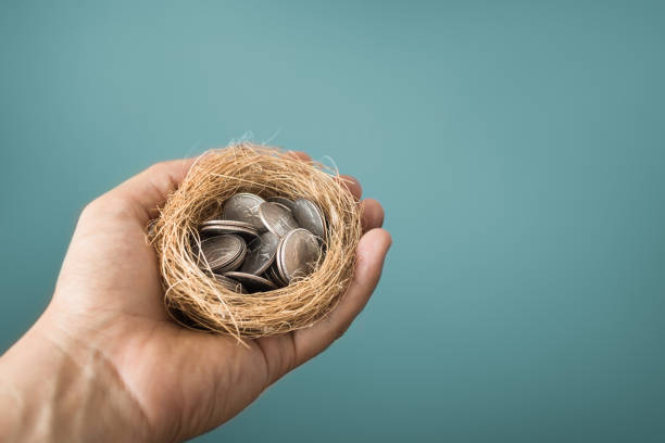 hand holding coins in birds nest. - pension retirement benefits perks imagens e fotografias de stock