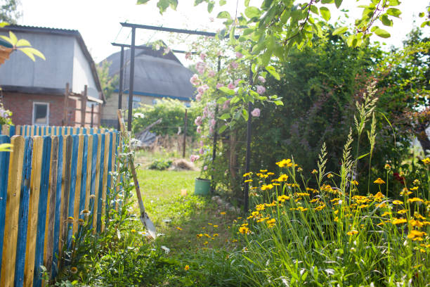 istock A flower garden in the backyard.Selective focus 1158891105