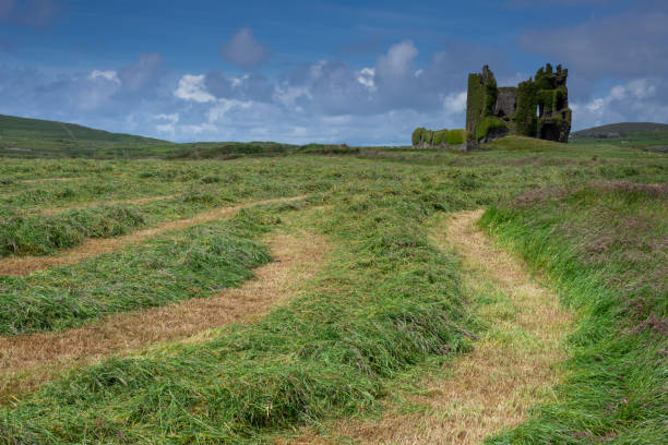 istock Ballycarbery Castle Southern Ireland 1158892461