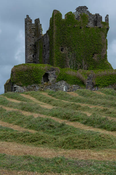 istock Ballycarbery Castle Southern Ireland 1158892693