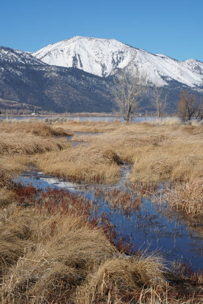 istock Slide Mountain in the Winter 1158893822
