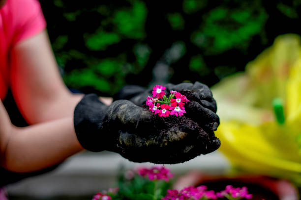 istock Young woman planting flower 1158894494