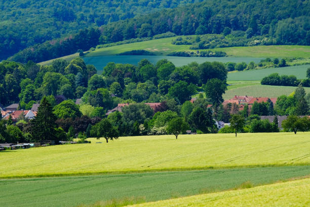 istock View on the agricultural fields with grain in Germany. 1158894959