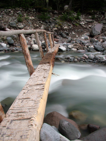 Log bridge crossing the Nisqually River, Mt. Rainier National Park.