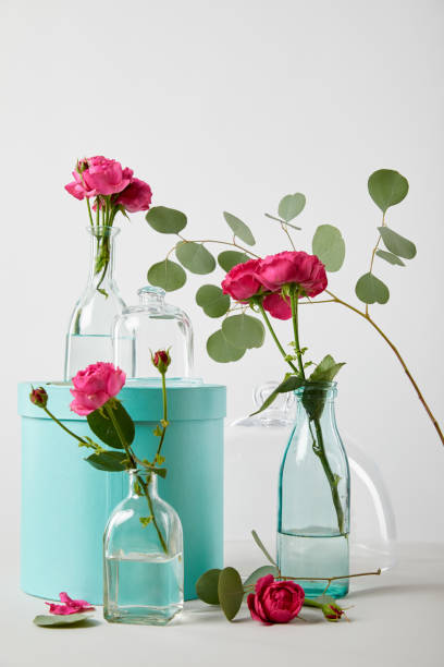 istock pink roses and eucalyptus in transparent bottles with turquoise gift box isolated on white 1158897575