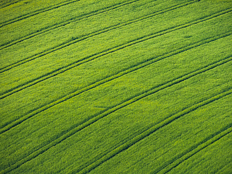 green agricultural field with tractor tracks aerial view