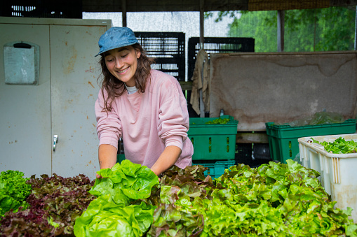 A smiling farmer selling organic vegetables at a community shared agriculture farm market on a raining summer day.