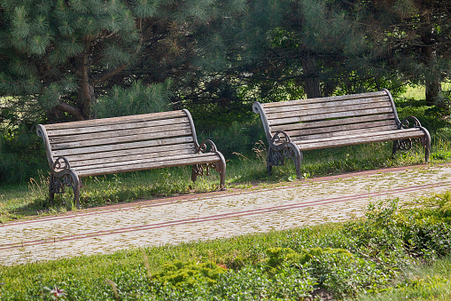 Two wooden benches in the summer park