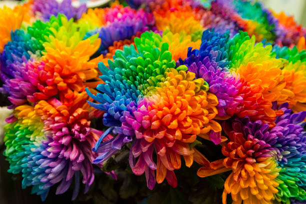 istock Multi-colored painted flowers close-up on a shop window 1158901777