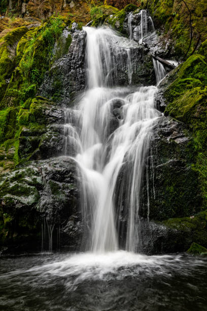 istock Little Mashel Falls Washington State, USA 1158904040
