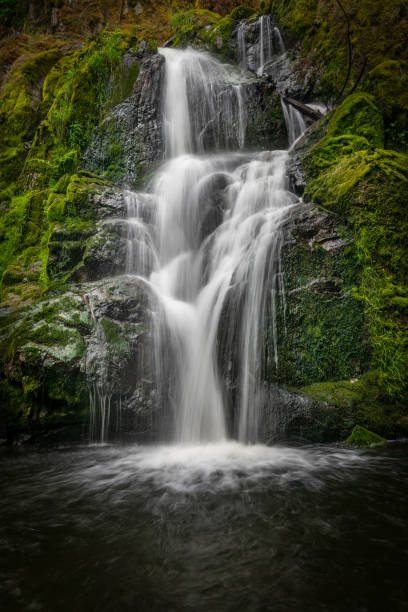 istock Little Mashel Falls Washington State, USA 1158904610