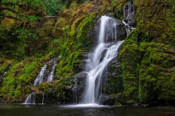 istock Little Mashel Falls Washington State, USA 1158904612