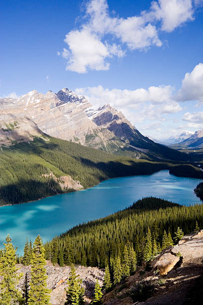 panorama z peyto lake - extreme terrain eroded snow landscape zdjęcia i obrazy z banku zdjęć