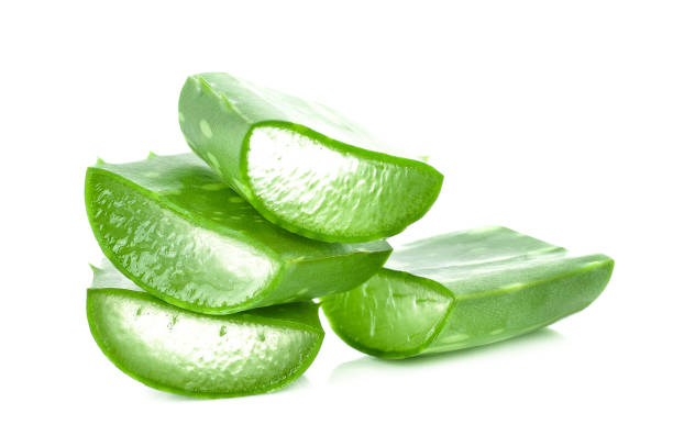 istock Baloe vera fresh leaf isolated on white background 1158907551