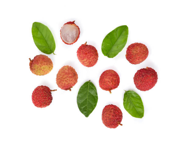 istock Top view of Lychee isolated on white background 1158907584