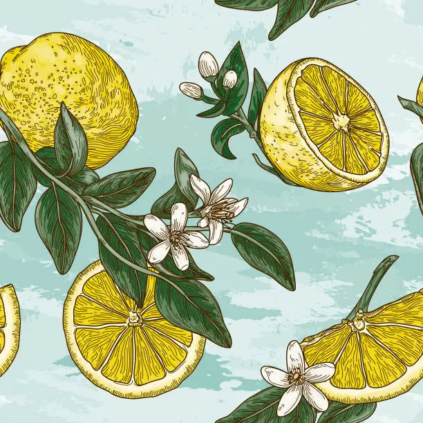 Vector illustration of Vintage Lemon Citrus Blossom Seamless Pattern
