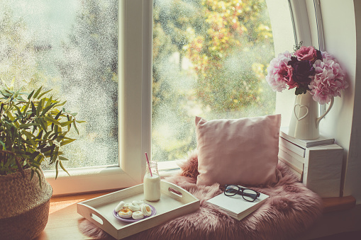 Rose colored pillow, covering, books, flower and a tray with cookies and drink arranged on windowsill.