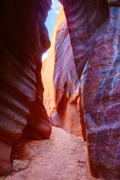 Photo of Canyon walls in Buckskin Gulch, near the Utah-Arizona border, southern Utah, United States.