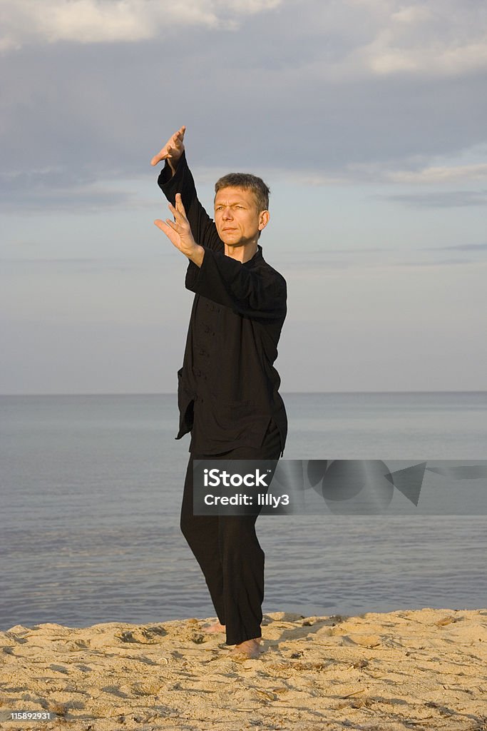 tai chi-postura ventilador a través de espalda - Foto de stock de 40-44 años libre de derechos