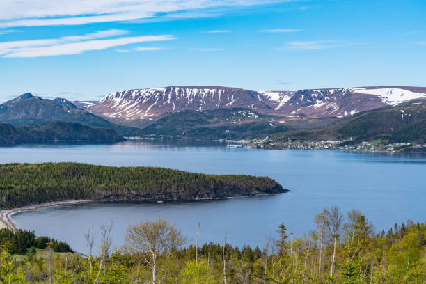 istock Wild Cove on Norris Point Newfoundland 1158929623