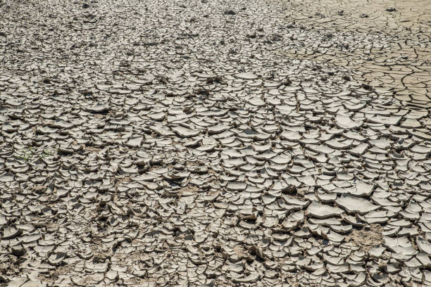 сухое речное водохранилище изменение климата mudrack - dry river textured effect dirt стоковые фото и изображения