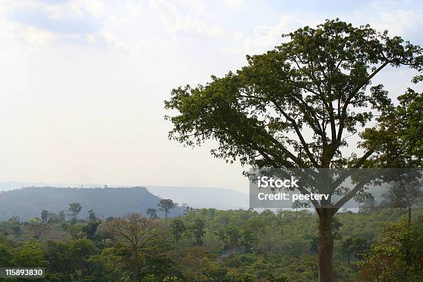 Berge Und Den Regenwald Stockfoto und mehr Bilder von Ghana - Ghana, Regenwald, Berg