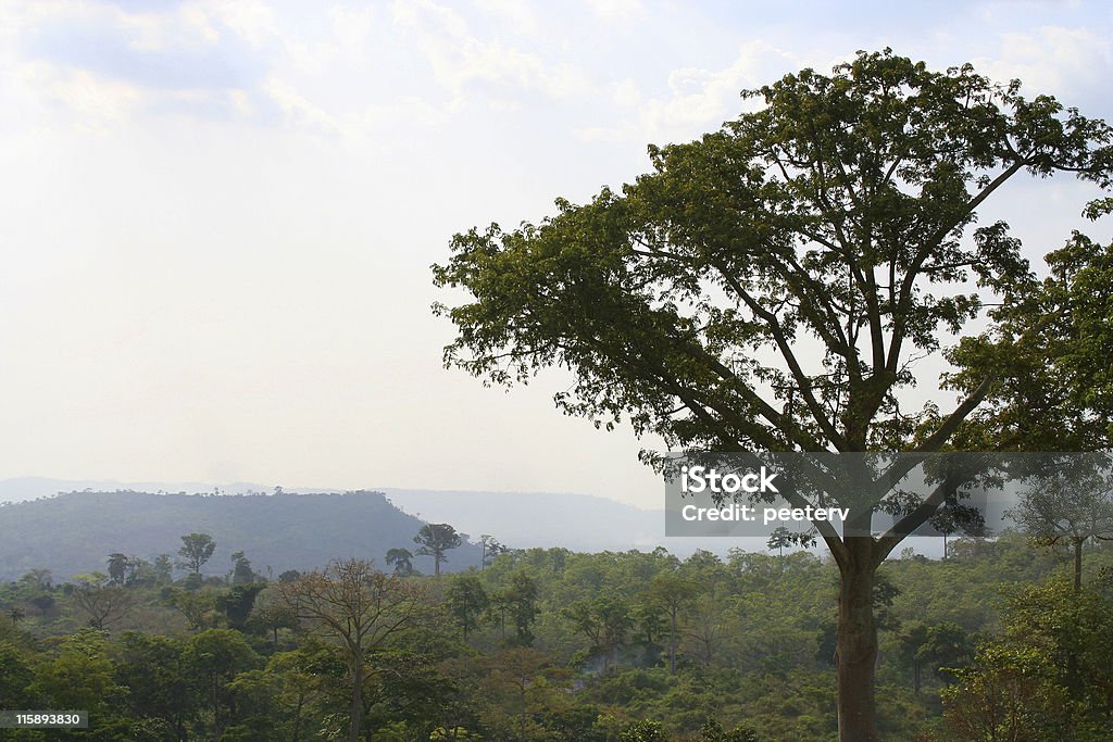 山々、熱帯雨林 - ガーナのロイヤリティフリーストックフォト