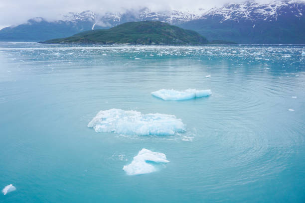 빙산 - hubbard glacier 뉴스 사진 이미지