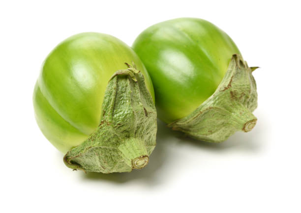 aubergine isolated on white background - 16936 imagens e fotografias de stock