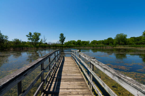istock Wooden walkway over the pond 1158946334