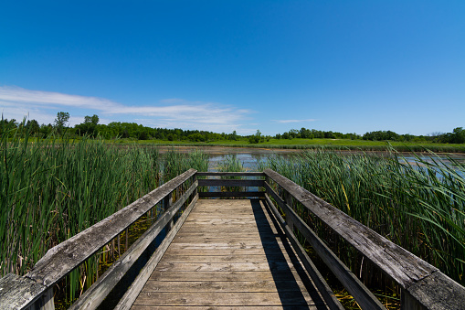 Wooden walkway over pond in Richard Bong State Recreational Area, Kansasville, Wisconsin