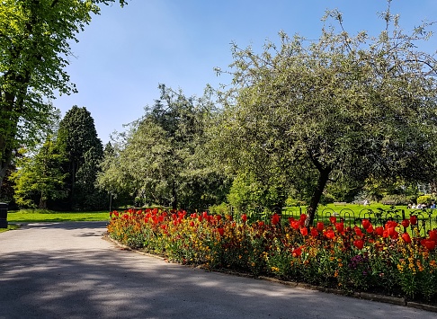 Varieties of trees along footpath in the Turia Garden in Valencia, Spain