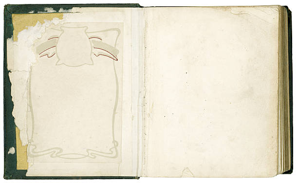 vecchia bibbia anteriore interna pagine - parchment vellum paper textured foto e immagini stock