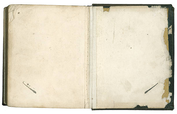 vecchia bibbia interna posteriore pagine - parchment vellum paper textured foto e immagini stock