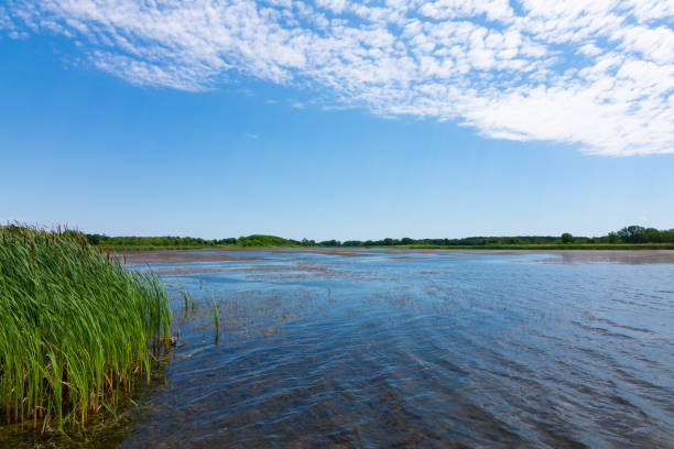 istock Lake in Richard Bong State Recreational Area 1158952962