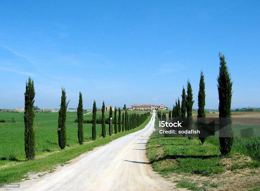 Road in Italy  Color Image Stock Photo