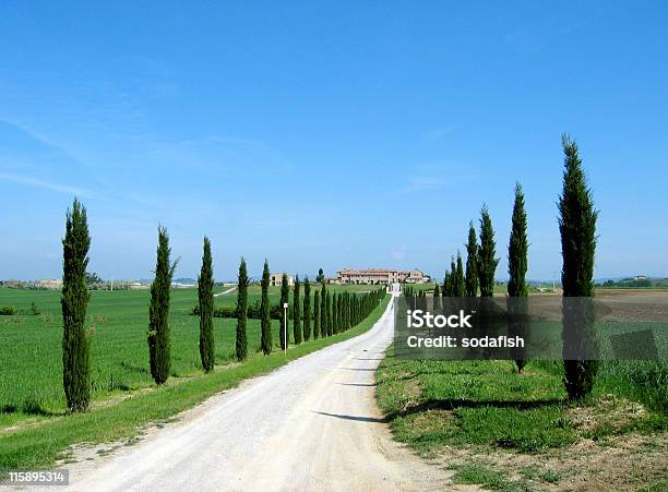 Road In Italy Stock Photo - Download Image Now - Color Image, Diminishing Perspective, Green Color