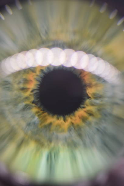 istock Glass eye close-up 1158956141