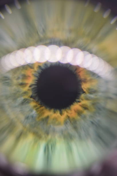 Glass eye close-up Synthetic Body Part steven harrie stock pictures, royalty-free photos & images