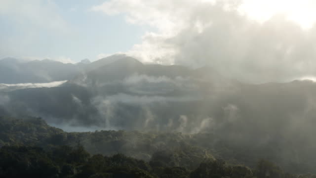 Drone aerial view of evaporating wate in the morning of a amazon tropical forest in Estrada da Graciosa, Brazil.