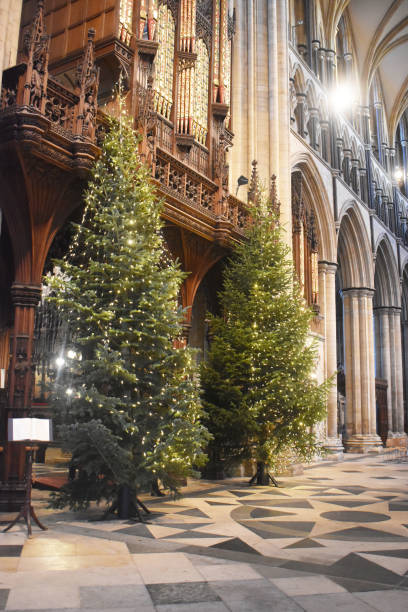 istock Christmas trees stand inside church architecture characteristics 1158963298