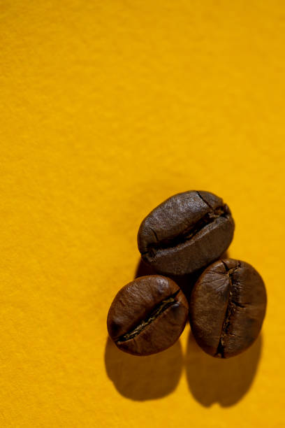 istock the pattern of coffee beans on colored background 1158965789